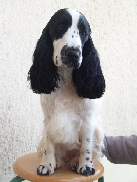 Heroine Du Clos De Vitalie